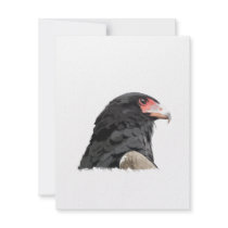 Black African Bateleur Eagle Custom Invites