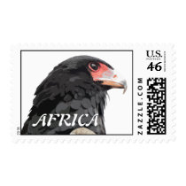 Black African Bateleur Eagle Postage Stamp