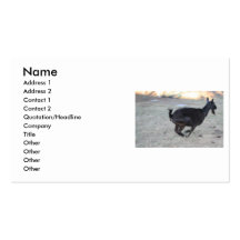 Black alpine goat doe running away to right business card template