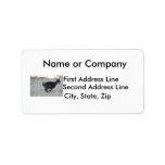Black alpine goat doe running away to right custom address label