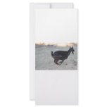 Black alpine goat doe running away to right customized rack card