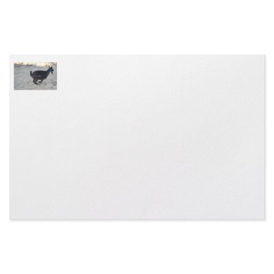 Black alpine goat doe running away to right custom stationery by SusansZooCrew