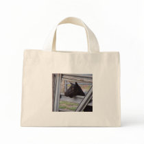 Black alpine goat doe waiting at metal gate bag
