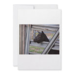 Black alpine goat doe waiting at metal gate custom invite