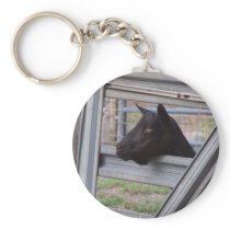 Black alpine goat doe waiting at metal gate keychains