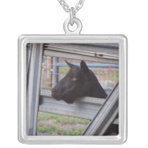 Black alpine goat doe waiting at metal gate necklace