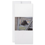 Black alpine goat doe waiting at metal gate rack card