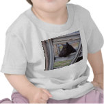 Black alpine goat doe waiting at metal gate tee shirt