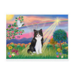 Black &amp; White Cat - Cloud Angel Postcards