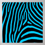 Black and Aqua Zebra Stripes Print