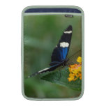 Black and Blue Butterfly MacBook Air Sleeve