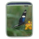 Black and Blue Butterfly Sleeve For iPads