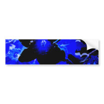 Black and Blue Daffodils Bumper Sticker