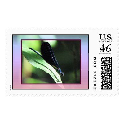 Black and Blue Damselfly Postage by naturegirl7