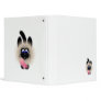 Black And Brown Cat Holding A Pink Mouse 3 Ring Binder