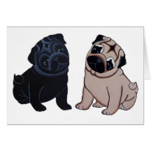 Black and Fawn Pug Puppies Greeting Cards