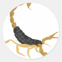 Black and Gold Scorpion Round Stickers