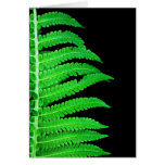 Black and Green Fern Greeting Card