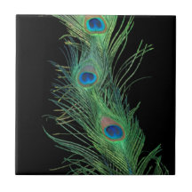 Black and Green Peacock Feathers Tile
