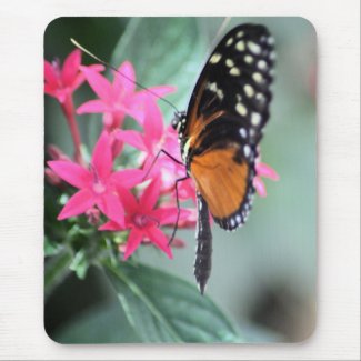 Black and Orange Butterfly With White Spots mousepad