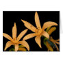 Black and Orange Lilly Card