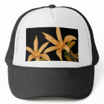 Black and Orange Lilly Hat
