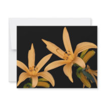 Black and Orange Lilly invitations