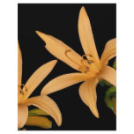 Black and Orange Lilly Personalized Letterhead