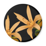 Black and Orange Lilly Refrigerator Magnets