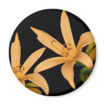 Black and Orange Lilly Refrigerator Magnet