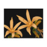 Black and Orange Lilly Post Card