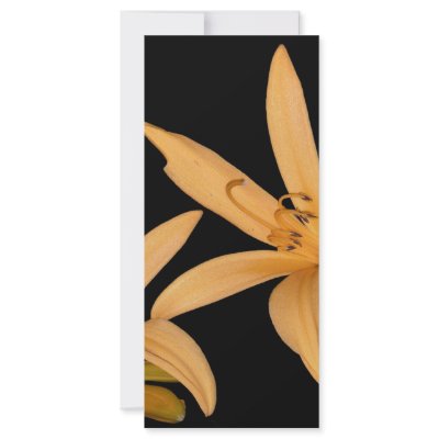 Black and Orange Lilly Custom Rack Card by bens555