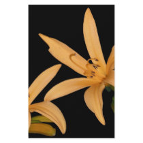 Black and Orange Lilly stationery