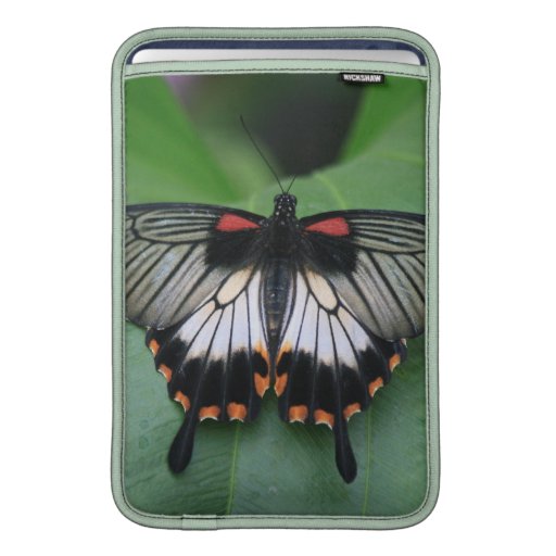 Black and Pink Swallowtail 11" MacBook Sleeve