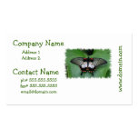 Black and Pink Swallowtail Butterfly Business Card