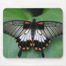 Black and Pink Swallowtail Butterfly Mouse Pad