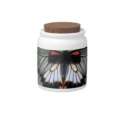 Black and Pink Swallowtail Candy Jar