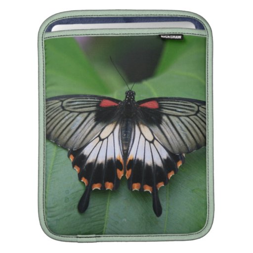Black and Pink Swallowtail iPad Sleeve