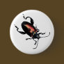 Black and Red Beetle bug