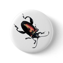 Black and Red Beetle bug buttons by OutDoorWorld Black and Red Beetle bug buttons