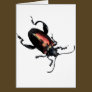 Black and Red Beetle bug
