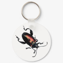 Black and Red Beetle bug keychains by OutDoorWorld Black and Red Beetle bug keychains