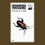 Black and Red Beetle bug