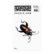 Black and Red Beetle bug postage