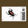 Black and Red Beetle bug