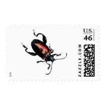 Black and Red Beetle bug postage