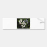 Black and Red Bug on White Flower Bumper Sticker