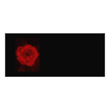 Black and Red Rose. Announcements