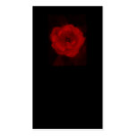 Black and Red Rose. Business Cards