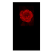 Black and Red Rose. Business Cards